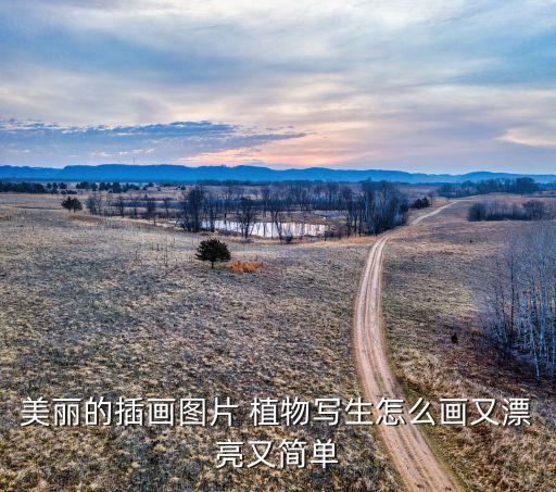我和植物交朋友繪畫作品,我與蔬菜交朋友繪畫作品...